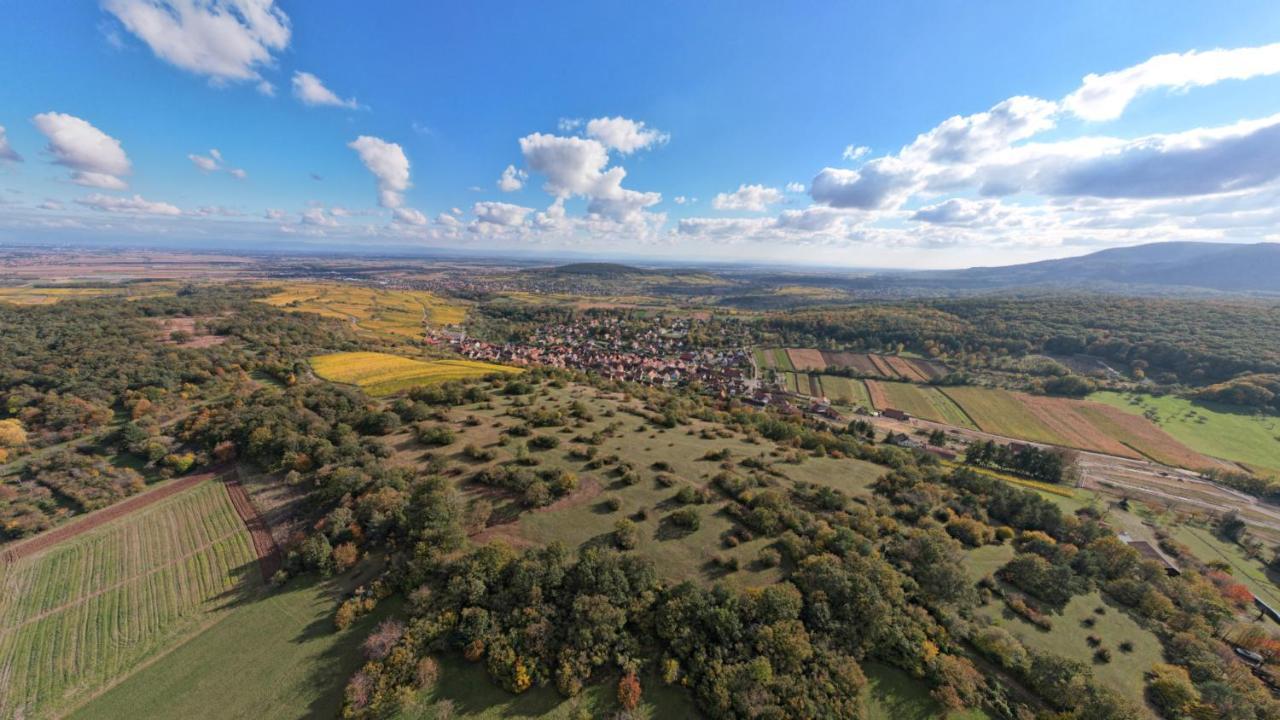 Gite Le Petit Moulin Rosenwiller Zewnętrze zdjęcie
