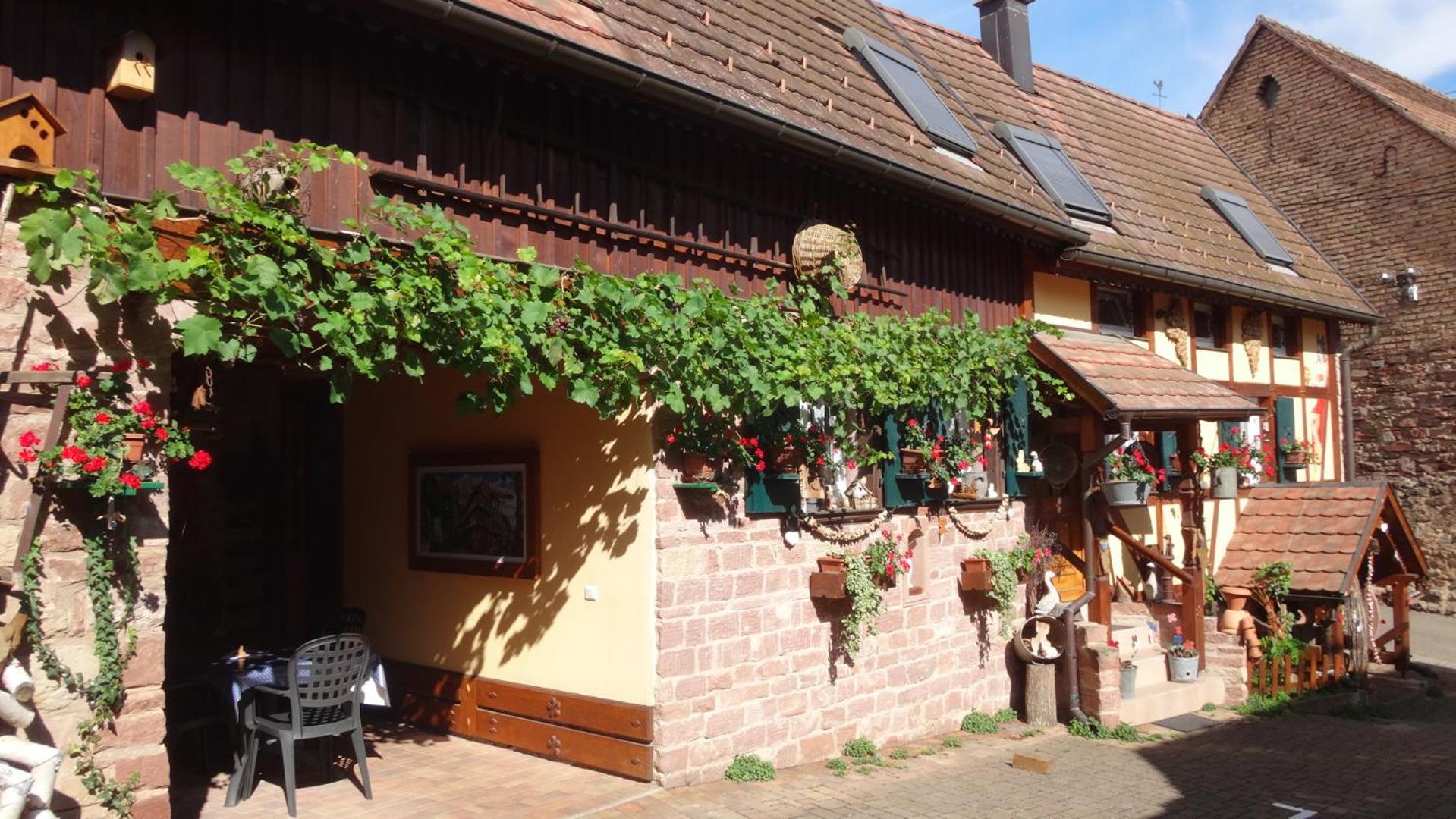 Gite Le Petit Moulin Rosenwiller Zewnętrze zdjęcie