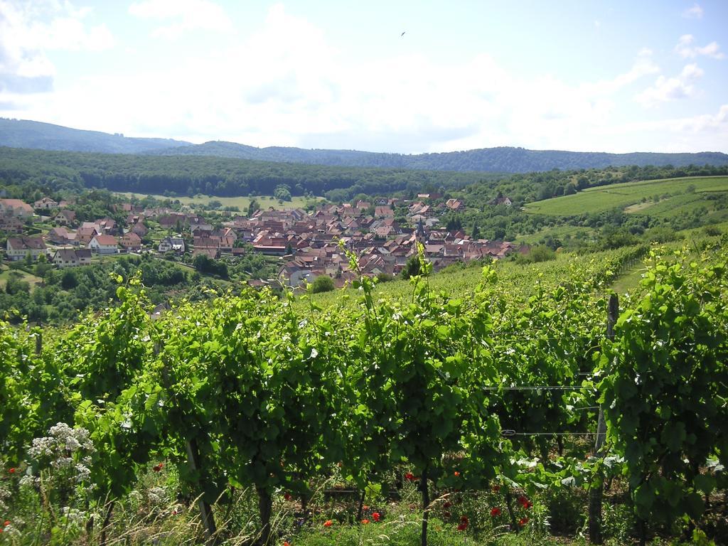 Gite Le Petit Moulin Rosenwiller Zewnętrze zdjęcie