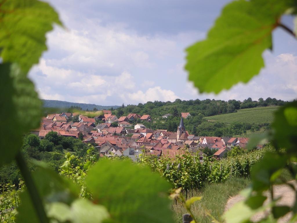 Gite Le Petit Moulin Rosenwiller Zewnętrze zdjęcie