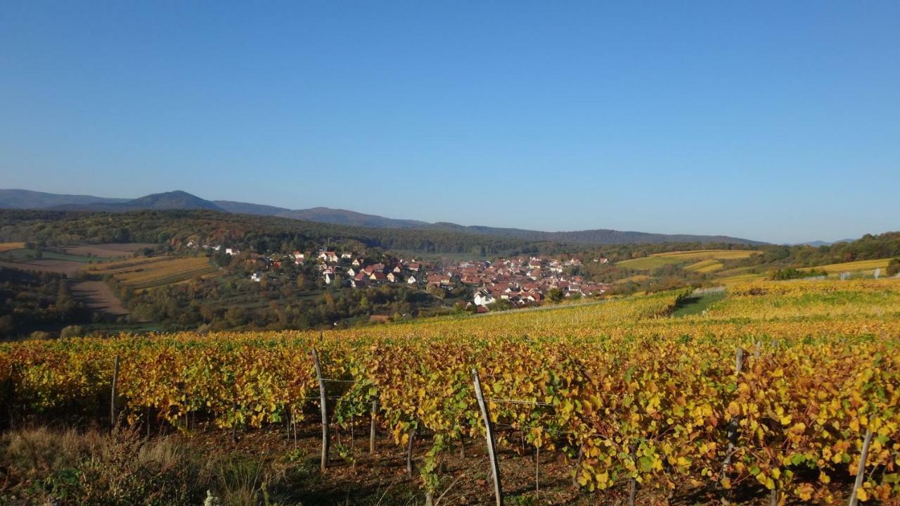 Gite Le Petit Moulin Rosenwiller Zewnętrze zdjęcie