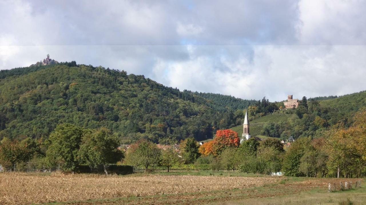 Gite Le Petit Moulin Rosenwiller Zewnętrze zdjęcie