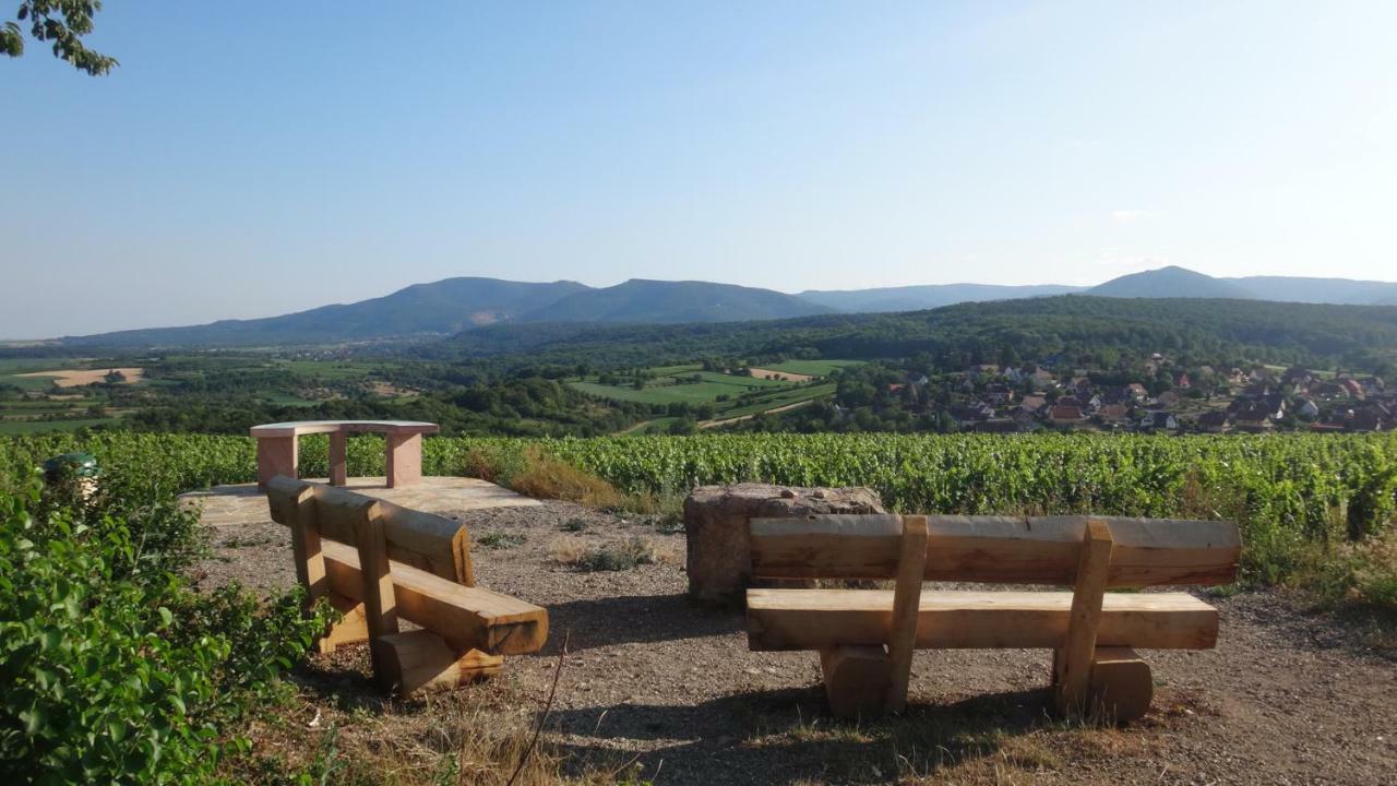 Gite Le Petit Moulin Rosenwiller Zewnętrze zdjęcie