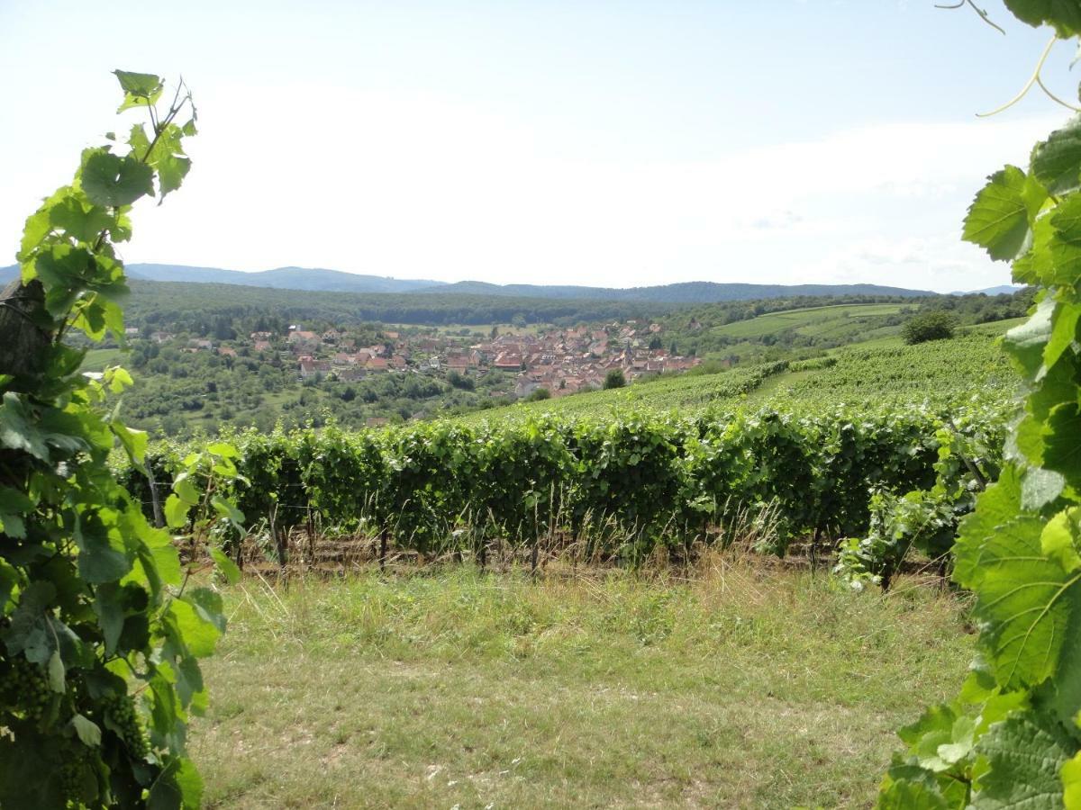 Gite Le Petit Moulin Rosenwiller Zewnętrze zdjęcie