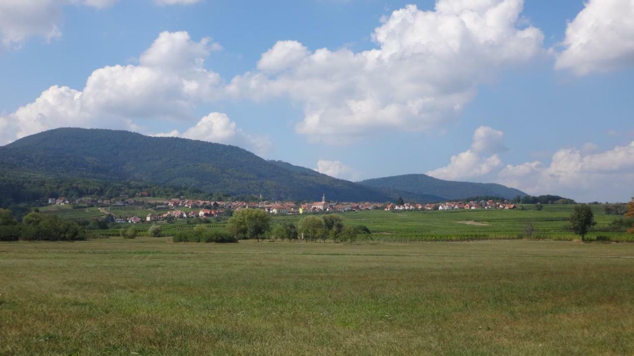 Gite Le Petit Moulin Rosenwiller Zewnętrze zdjęcie