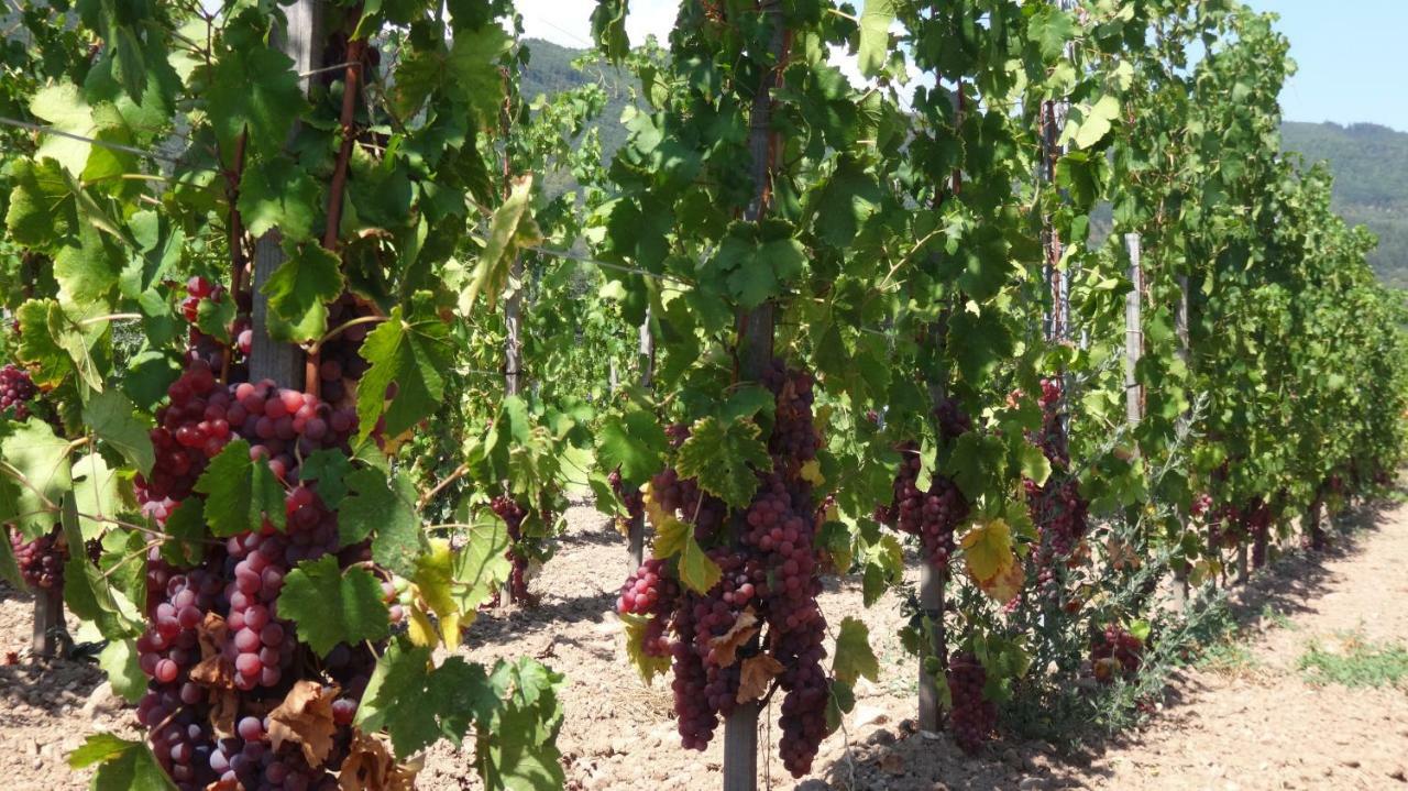 Gite Le Petit Moulin Rosenwiller Zewnętrze zdjęcie