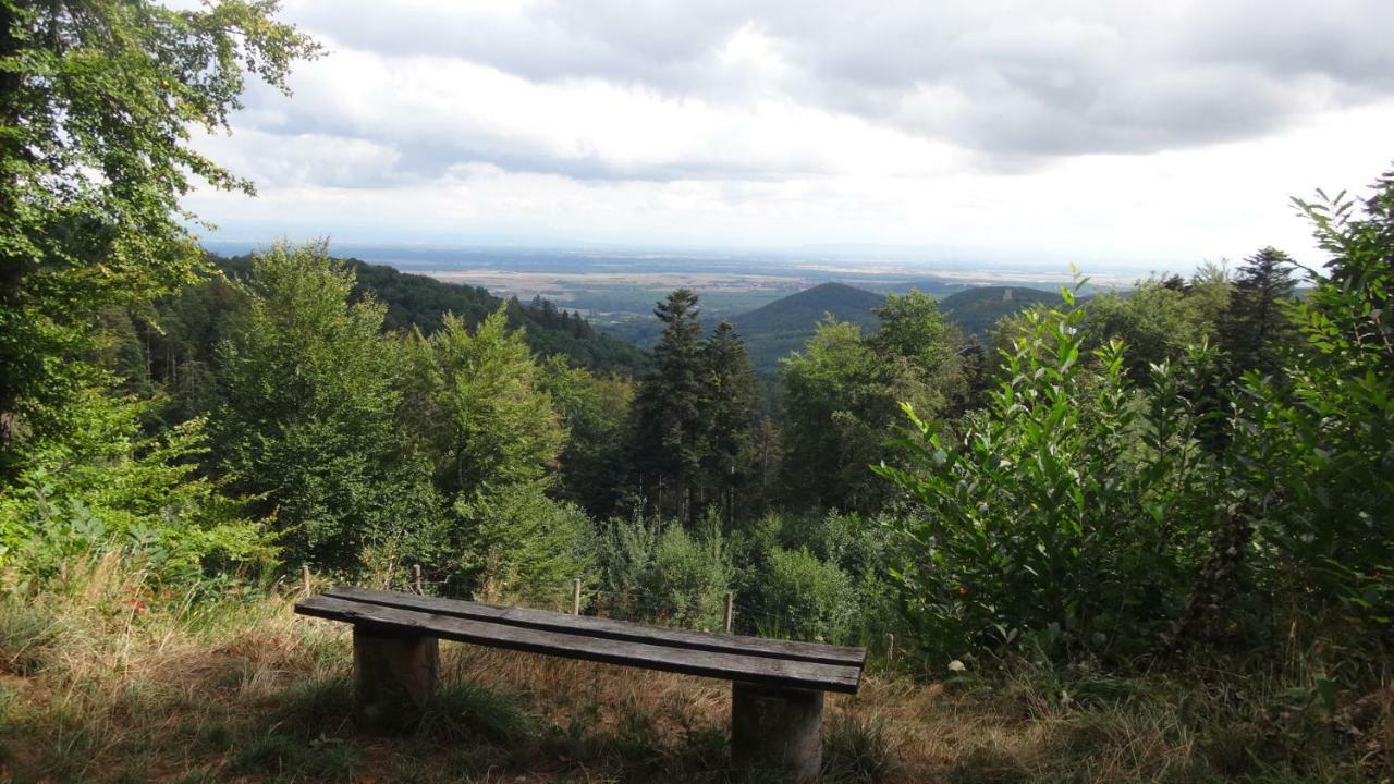 Gite Le Petit Moulin Rosenwiller Zewnętrze zdjęcie