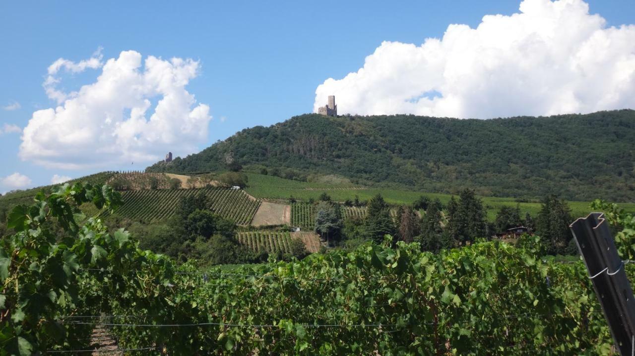 Gite Le Petit Moulin Rosenwiller Zewnętrze zdjęcie