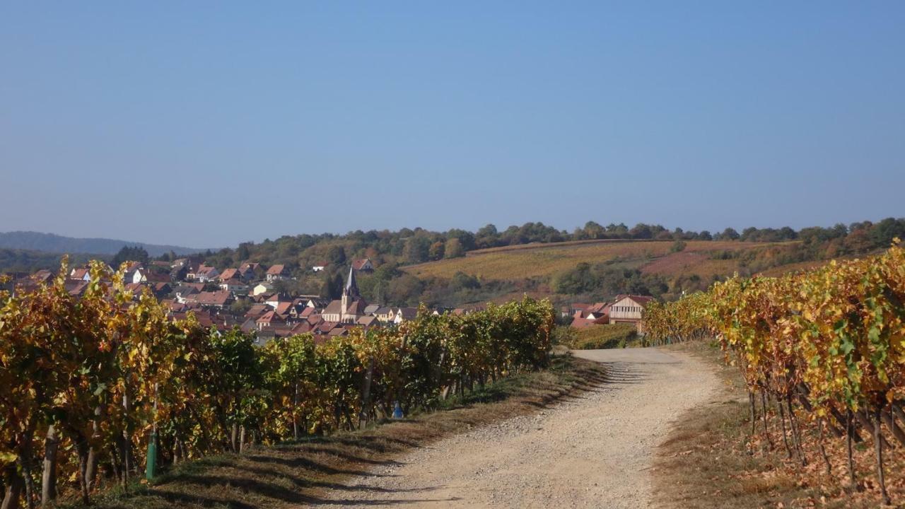 Gite Le Petit Moulin Rosenwiller Zewnętrze zdjęcie
