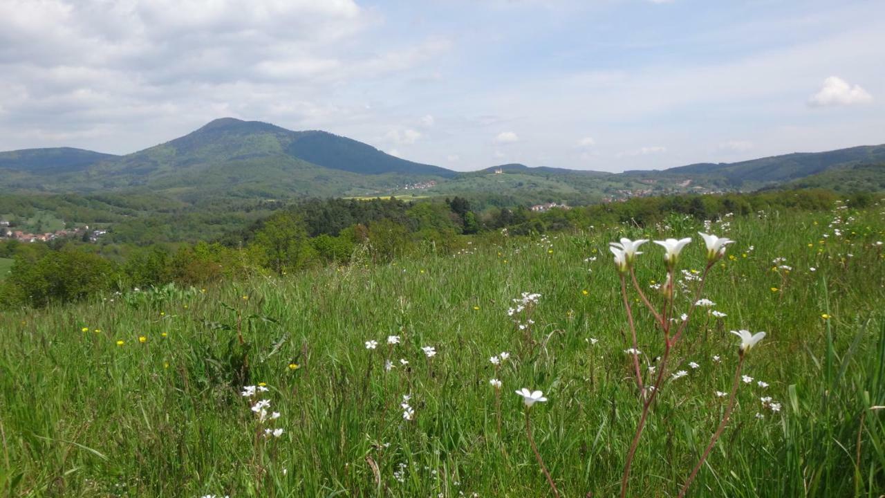 Gite Le Petit Moulin Rosenwiller Zewnętrze zdjęcie
